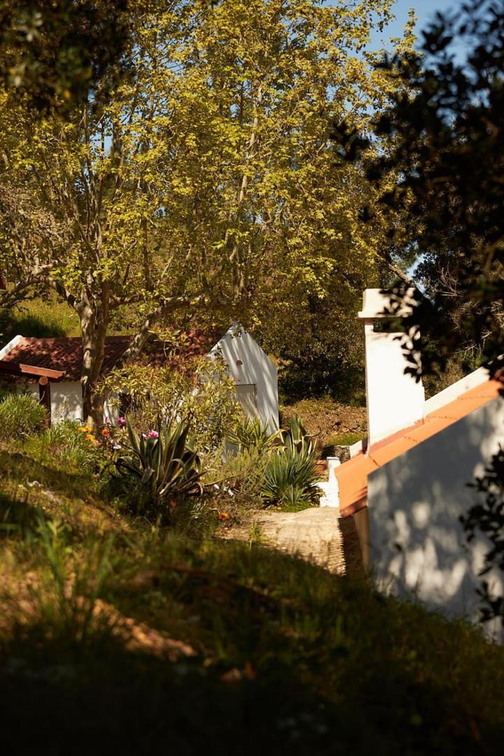 Вилла Quinta Do Marmeleiro - Casa Marmeleiro Сантиагу-ду-Касен Экстерьер фото
