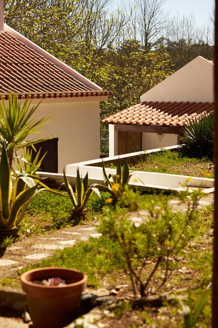 Вилла Quinta Do Marmeleiro - Casa Marmeleiro Сантиагу-ду-Касен Экстерьер фото